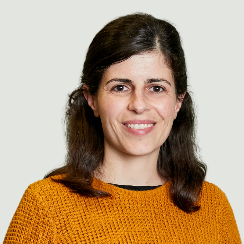 Our team RMIT University